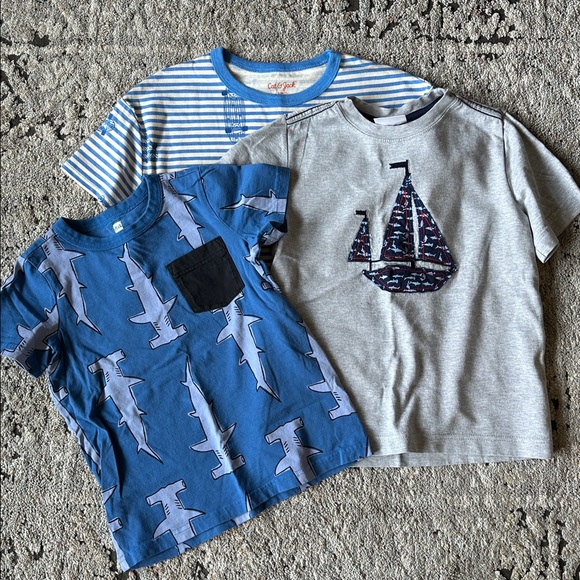 Hanna Andersson Other - Like new boys tshirt  lot